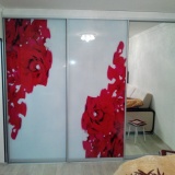 Шкаф купе с фотопечатью