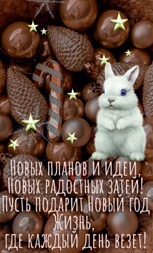 Расписание праздничных и рабочих дней на Новогодние праздники 2022-2023 г.